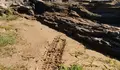 Novas agresións ao medio no Monumento Natural da Costa de Dexo