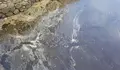  O BNG de Oleiros denuncia un novo vertido á lagoa de Mera e exixe unha urxente actuación sobre o bombeo próximo