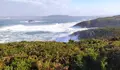 O BNG organizou un encontro sobre medio ambiente