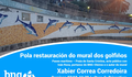 O domingo 27 reivindicamos o recoñecemento e a preservación do mosaico de Santa Cristina "27 arroaces e unha estrela", de Correa Corredoira