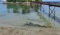 O BNG leva ao Parlamento Galego a contaminación da praia de Santa Cruz