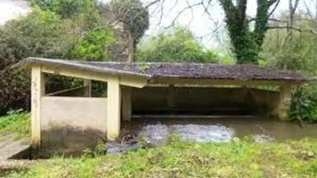 Rego de San Pedro