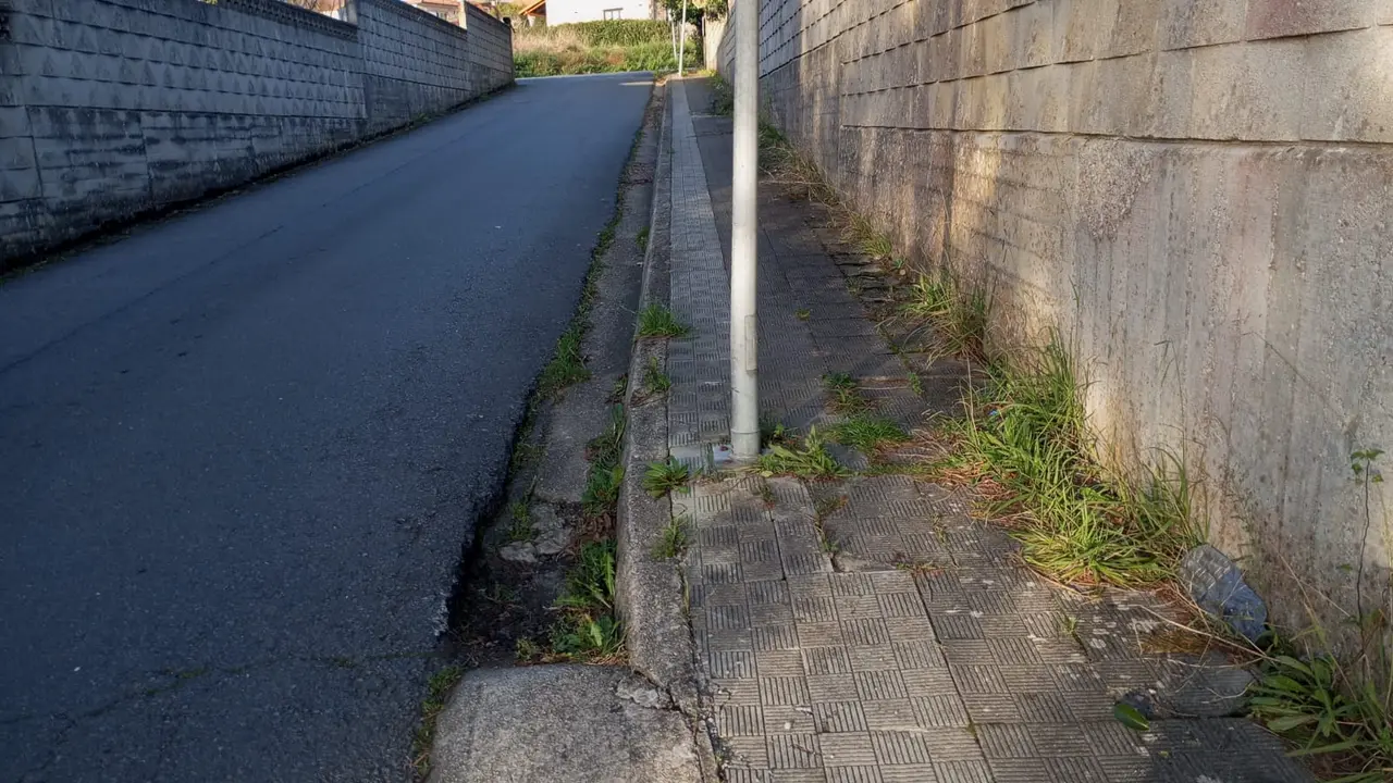 accesos RAMO