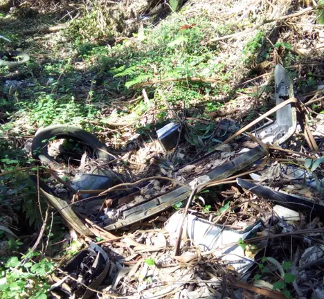 lixo_Bosque_dos_Veci&ntilde;os
