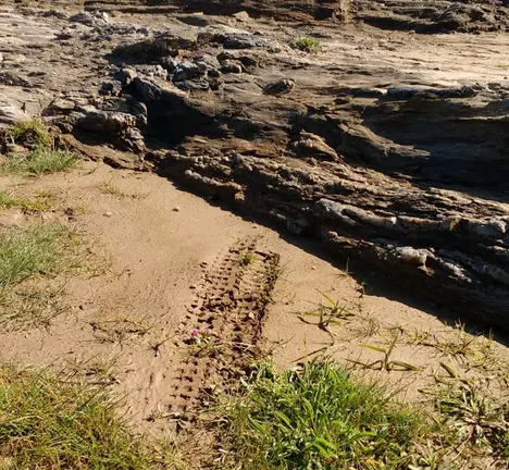 denuncia rodelas motos monumento natural 