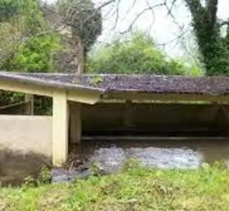 Rego de San Pedro